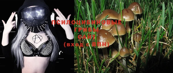 альфа пвп Осинники