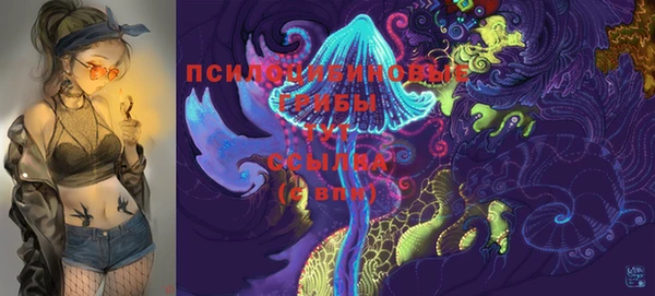 ПСИЛОЦИБИНОВЫЕ ГРИБЫ Осташков